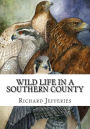 Wild Life in a Southern County