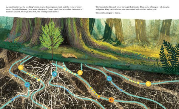 Listen to the Language of the Trees: A story of how forests communicate underground