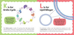 Alternative view 6 of ABCs of Biochemistry