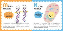 Alternative view 8 of ABCs of Biochemistry