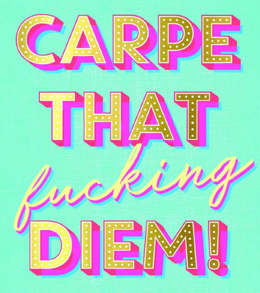 Ray of F*cking Sunshine Sticky Notes: 101 Happiness Notes to Swear and Share