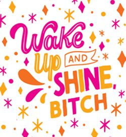 Ray of F*cking Sunshine Sticky Notes: 101 Happiness Notes to Swear and Share