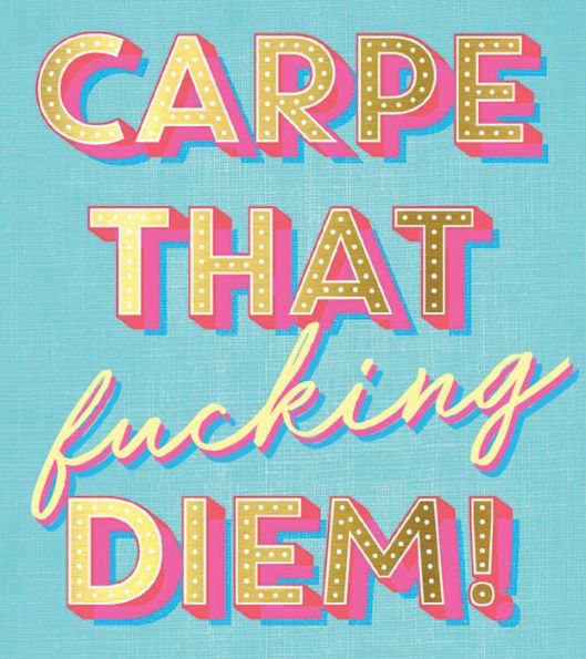 Ray of F*cking Sunshine Sticky Notes: 101 Happiness Notes to Swear and Share