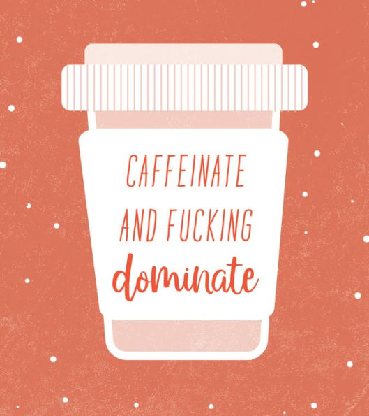 Ray of F*cking Sunshine Sticky Notes: 101 Happiness Notes to Swear and Share