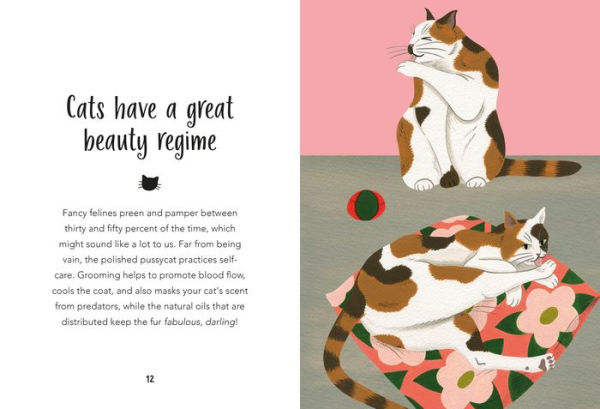 59 Things You Should Know About Your Cat
