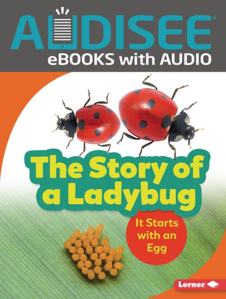 The Story of a Ladybug: It Starts with an Egg