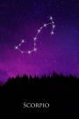 2019 Daily Planner Scorpio Constellation Night Sky Astrology Symbol 384 Pages: (Notebook, Diary, Blank Book)