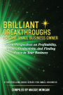 Brilliant Breakthroughs for the Small Business Owner: Fresh Perspectives on Profitability, People, Productivity, and Finding Peace in Your Business