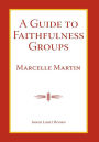 A Guide To Faithfulness Groups