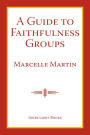 A Guide To Faithfulness Groups