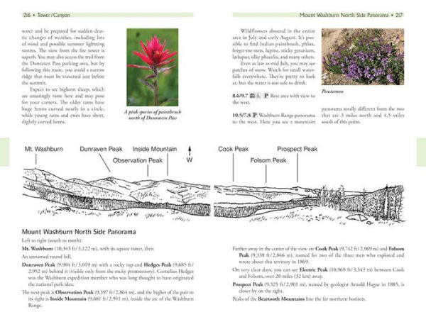 Yellowstone Treasures: The Traveler's Companion to the National Park