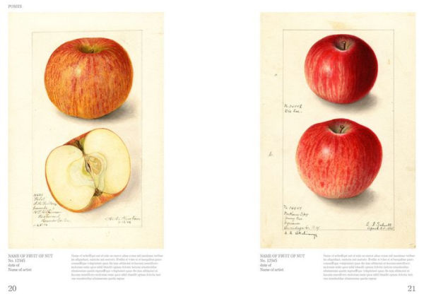 An Illustrated Catalog of American Fruits & Nuts: The U.S. Department of Agriculture Pomological Watercolor Collection