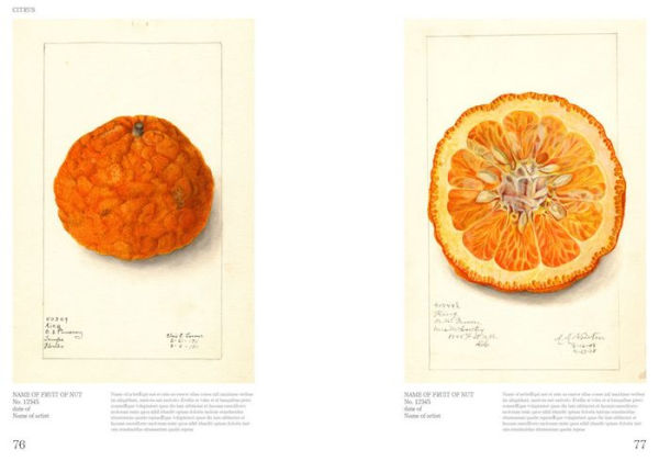 An Illustrated Catalog of American Fruits & Nuts: The U.S. Department of Agriculture Pomological Watercolor Collection