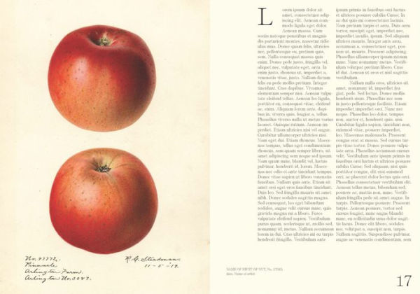 An Illustrated Catalog of American Fruits & Nuts: The U.S. Department of Agriculture Pomological Watercolor Collection