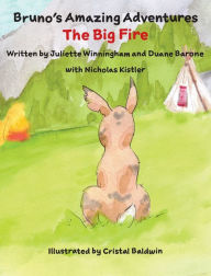 Title: The Big Fire, Author: Juliette Winningham