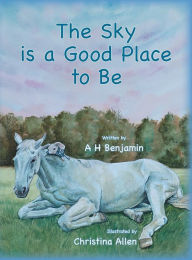 Title: The Sky is a Good Place to Be, Author: Christina Allen