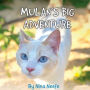 Mulan's Big Adventure: The True Story of a Lost Kitty