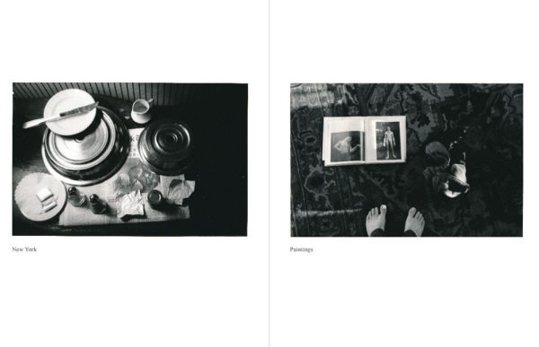 Hervé Guibert: The Only Face