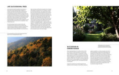 Alternative view 4 of The Essential Tree Selection Guide: For Climate Resilience, Carbon Storage, Species Diversity and Other Ecosystem Benefits