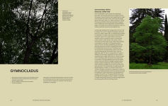 Alternative view 6 of The Essential Tree Selection Guide: For Climate Resilience, Carbon Storage, Species Diversity and Other Ecosystem Benefits