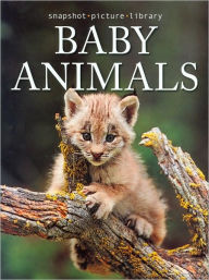 Baby Animals (Snapshot Picture Library)
