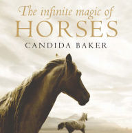 Title: The Infinite Magic of Horses, Author: Candida Baker