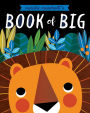 The Book of Big