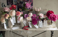 Alternative view 4 of The Land Gardeners: Cut Flowers