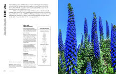 Alternative view 13 of Super Bloom: A Field Guide to Flowers for Every Gardener