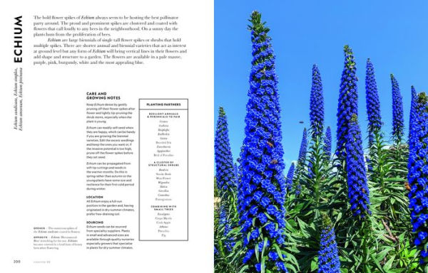 Super Bloom: A Field Guide to Flowers for Every Gardener