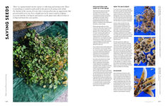 Alternative view 2 of Super Bloom: A Field Guide to Flowers for Every Gardener