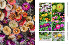 Alternative view 3 of Super Bloom: A Field Guide to Flowers for Every Gardener