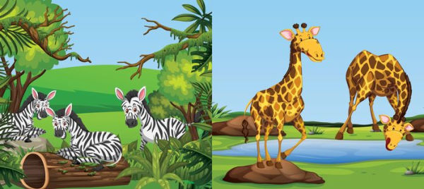 At the Zoo