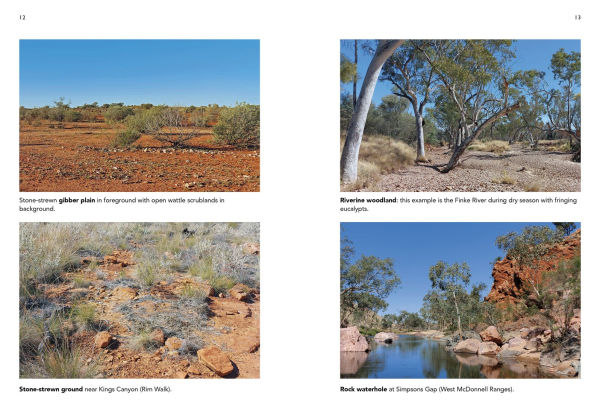 A Field Guide To Reptiles And Frogs Of The Red Centre.