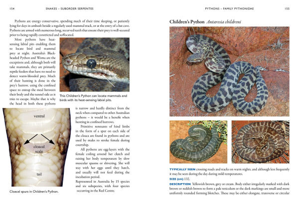 A Field Guide To Reptiles And Frogs Of The Red Centre.