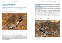 Alternative view 6 of A Field Guide To Reptiles And Frogs Of The Red Centre.