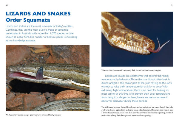 A Field Guide To Reptiles And Frogs Of The Red Centre.