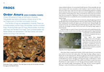 Alternative view 9 of A Field Guide To Reptiles And Frogs Of The Red Centre.