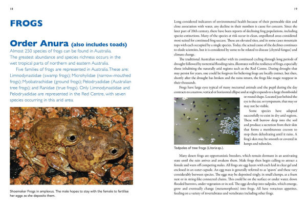 A Field Guide To Reptiles And Frogs Of The Red Centre.