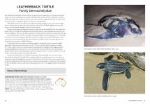 Alternative view 3 of A Complete Guide to Reptiles of Australia