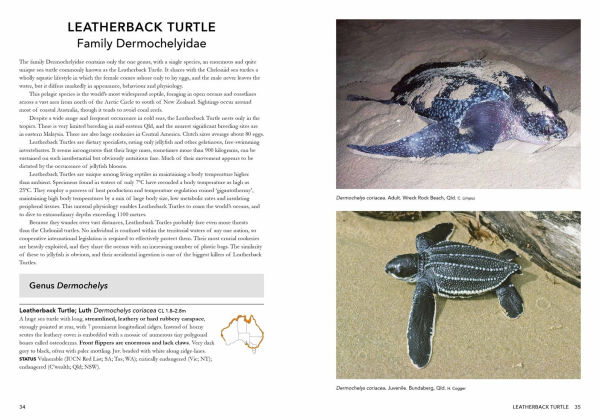 A Complete Guide to Reptiles of Australia