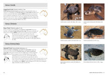 Alternative view 7 of A Complete Guide to Reptiles of Australia