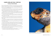 Alternative view 8 of A Complete Guide to Reptiles of Australia