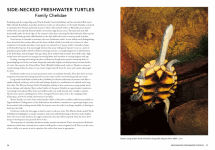 Alternative view 10 of A Complete Guide to Reptiles of Australia