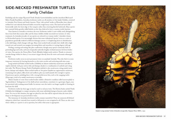 A Complete Guide to Reptiles of Australia