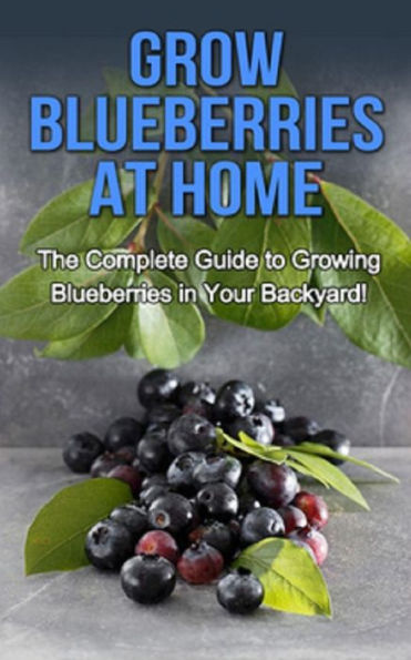 Grow Blueberries at Home: The complete guide to growing blueberries in your backyard!