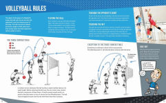 Alternative view 2 of Volleyball