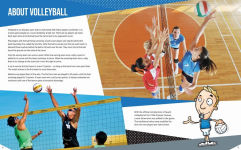 Alternative view 4 of Volleyball