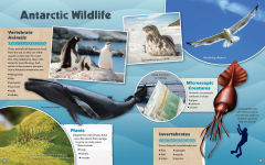 Alternative view 3 of Antarctica