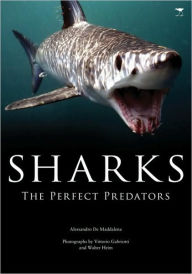 Sharks: The Perfect Predator